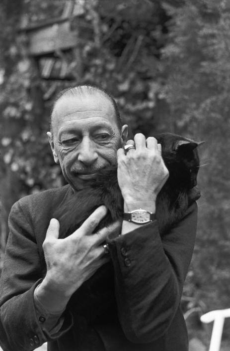 Stravinsky. El gatito es de Graciela.